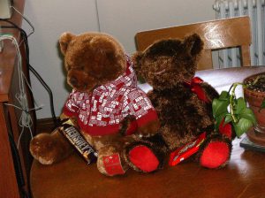 Tech Blog 本物画像(くま)