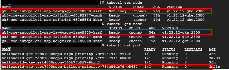 dummyPodを格納するためのノードが作成されて、dummyPodが再びRunning状態になる